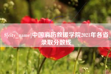 益阳中国消防救援学院2021年各省录取分数线