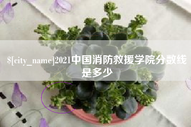 益阳2021中国消防救援学院分数线是多少