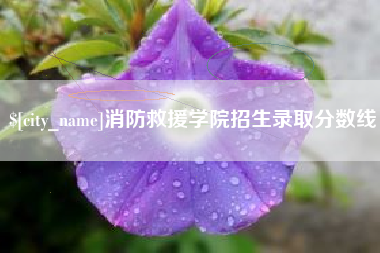 益阳消防救援学院招生录取分数线