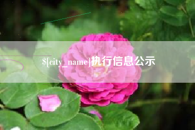 益阳执行信息公示