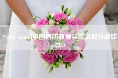 益阳中国消防救援学院录取分数线2020
