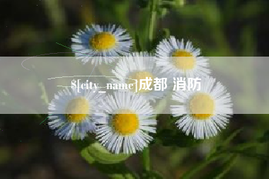 益阳成都 消防