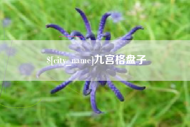 益阳九宫格盘子