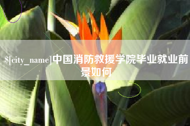 益阳中国消防救援学院毕业就业前景如何
