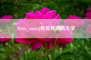 益阳有没有消防大学