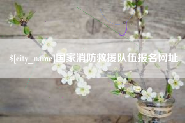 益阳国家消防救援队伍报名网址