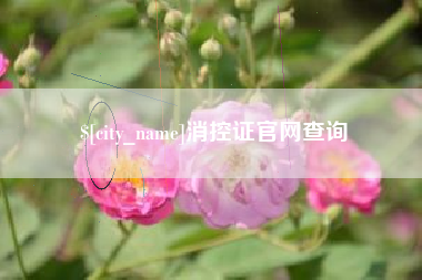 益阳消控证官网查询
