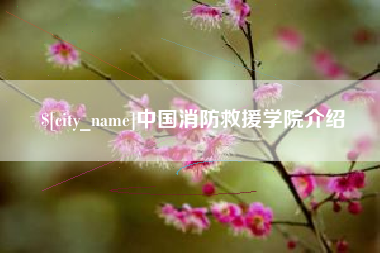 益阳中国消防救援学院介绍