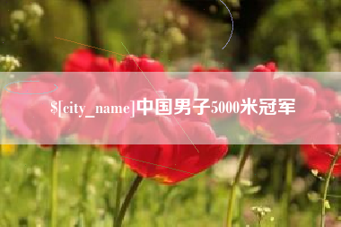 益阳中国男子5000米冠军
