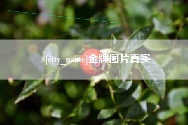 益阳金牌图片真实