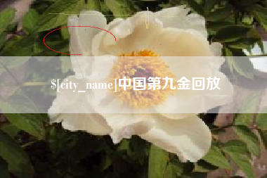益阳中国第九金回放