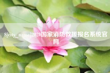 益阳2020国家消防救援报名系统官网