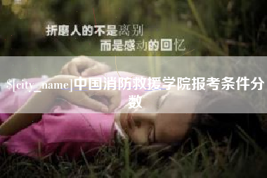 益阳中国消防救援学院报考条件分数