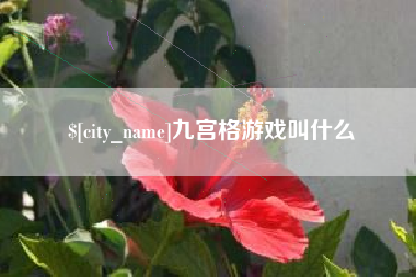 益阳九宫格游戏叫什么
