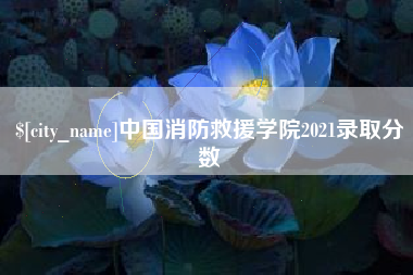 益阳中国消防救援学院2021录取分数