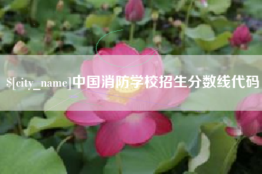 益阳中国消防学校招生分数线代码
