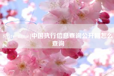 益阳中国执行信息查询公开网怎么查询