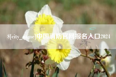 益阳中国消防官网报名入口2024