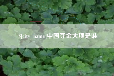 益阳中国夺金大项是谁