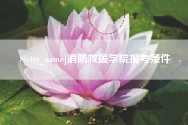 益阳消防救援学院报考条件