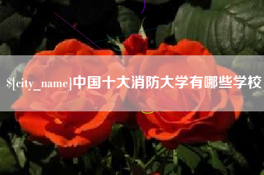 益阳中国十大消防大学有哪些学校