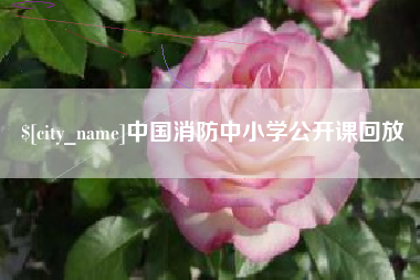 益阳中国消防中小学公开课回放