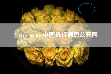 益阳中国执行信息公开网