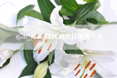 益阳森林消防日是哪一天
