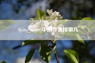 益阳中国夺金排第几