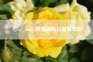 益阳我国消防日是每年的
