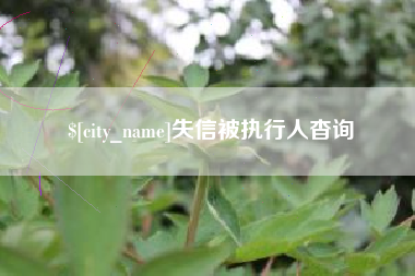 益阳失信被执行人杳询