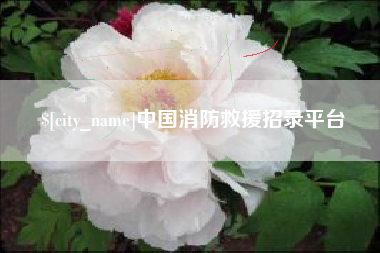 益阳中国消防救援招录平台