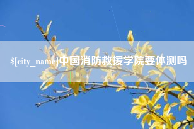 益阳中国消防救援学院要体测吗