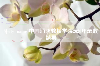 益阳中国消防救援学院2020年录取结果