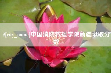 益阳中国消防救援学院新疆录取分数