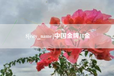 益阳中国金牌18金
