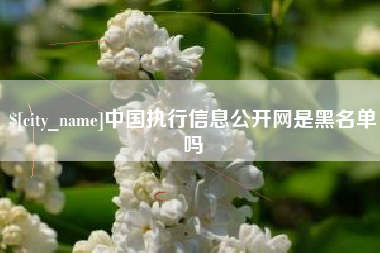 益阳中国执行信息公开网是黑名单吗