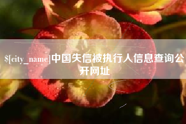 益阳中国失信被执行人信息查询公开网址