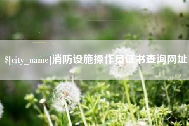 益阳消防设施操作员证书查询网址