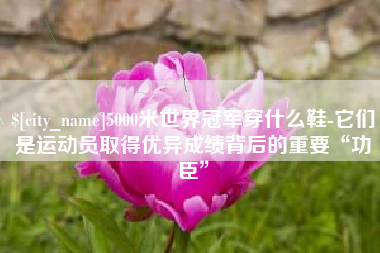 益阳5000米世界冠军穿什么鞋-它们是运动员取得优异成绩背后的重要“功臣”