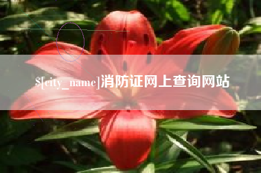 益阳消防证网上查询网站