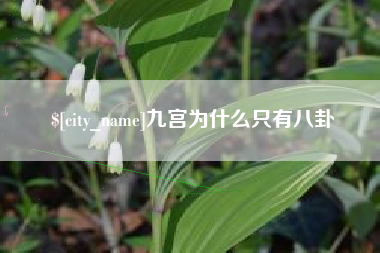 益阳九宫为什么只有八卦