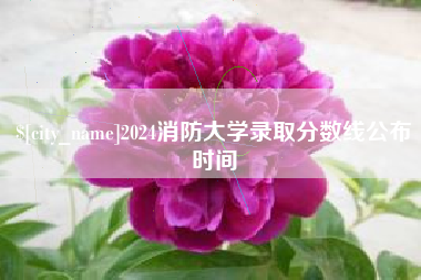 益阳2024消防大学录取分数线公布时间