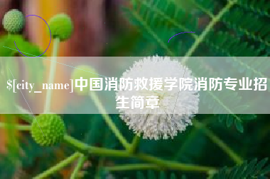 益阳中国消防救援学院消防专业招生简章