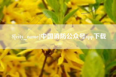 益阳中国消防公众号app下载