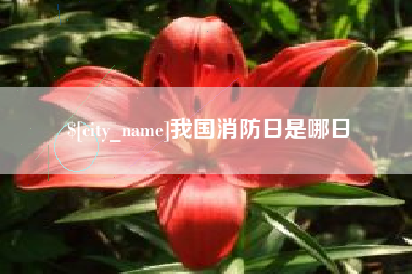 益阳我国消防日是哪日