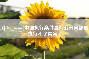 益阳中国执行案件查询公开网都是执行不了得案子