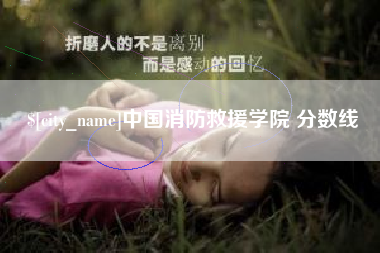 益阳中国消防救援学院 分数线