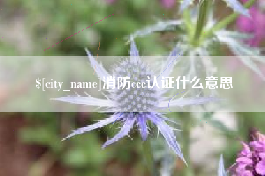 益阳消防ccc认证什么意思