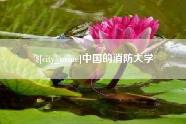 益阳中国的消防大学